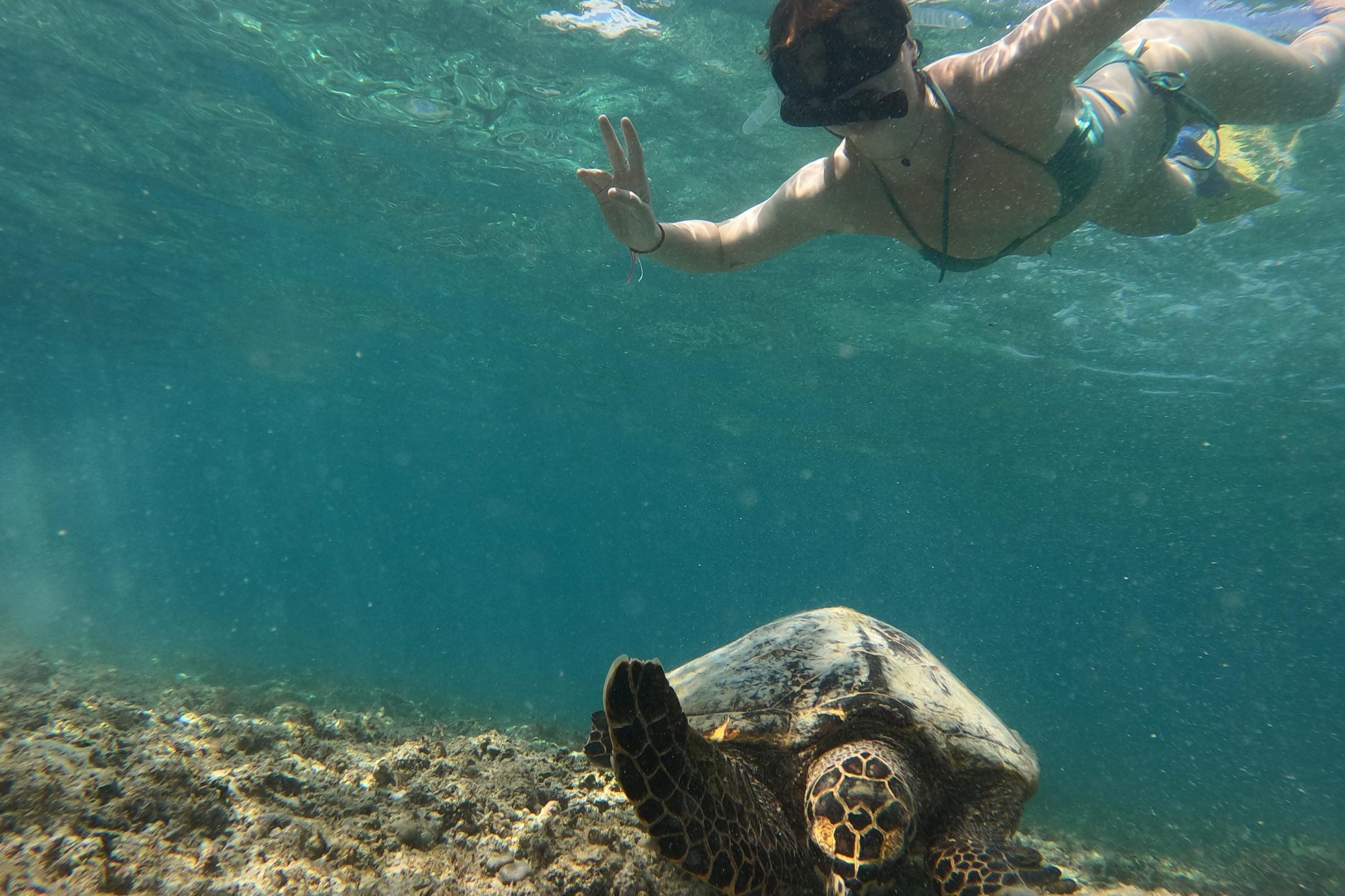Sharing Snorkeling Gili Trawangan, Meno, Air