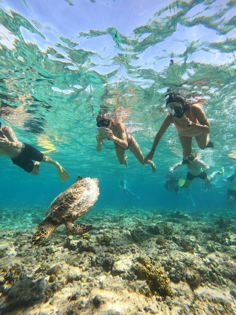Sharing Snorkeling Trip Gili Trawangan Sharing Snorkeling Trip Gili Trawangan