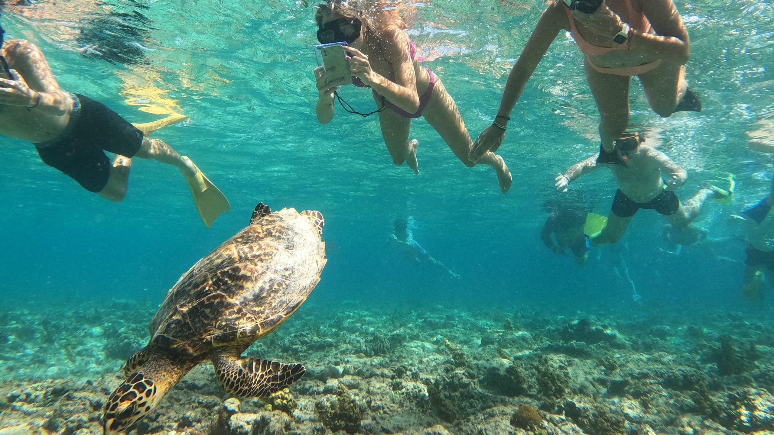 Sharing Snorkeling Trip Gili Trawangan
