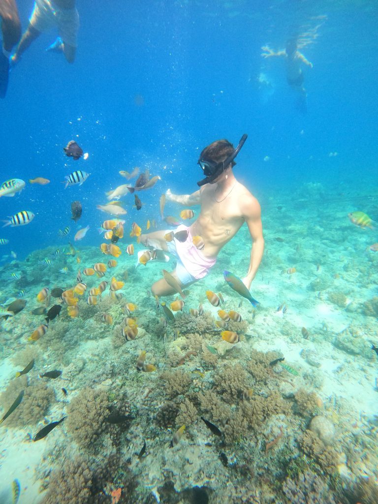 Snorkeling Gili Trawangan Snorkeling Gili Trawangan