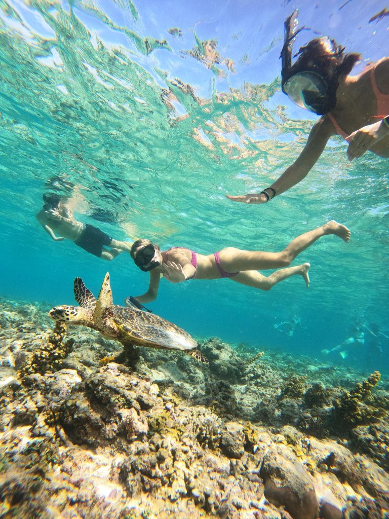 Snorkeling Gili Trawangan