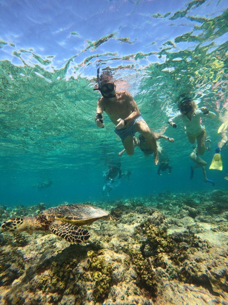 Snorkeling Gili Trawangan