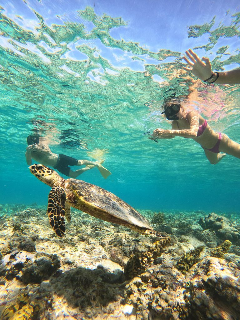 Snorkeling Gili Trawangan (2) Snorkeling Gili Trawangan (2)
