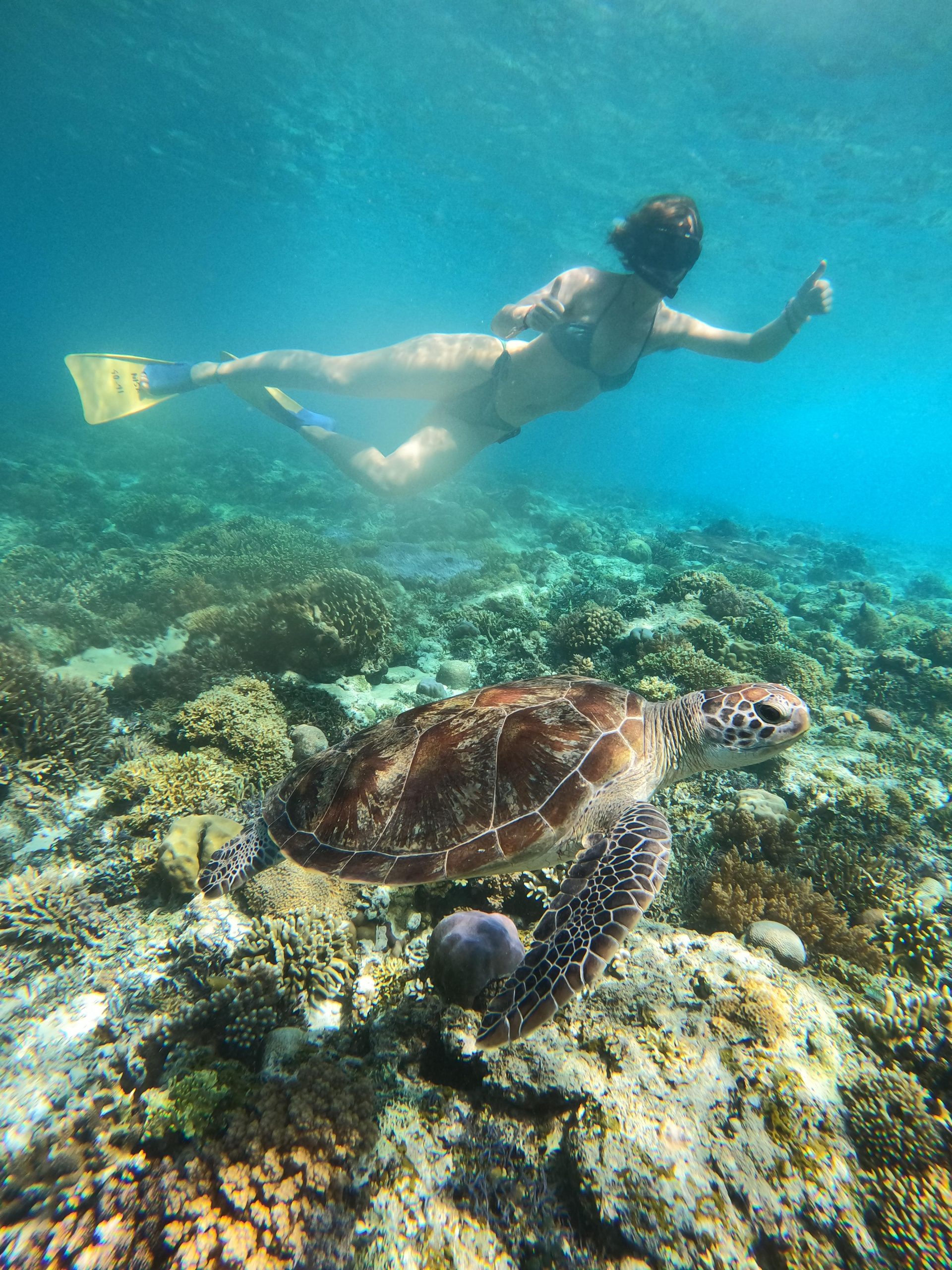 Snorkeling Gili trawangan
