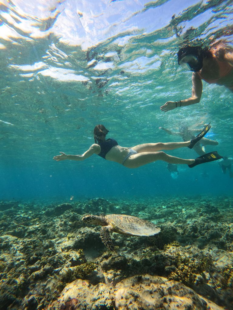 Snorkeling Trip Gili Trawangan