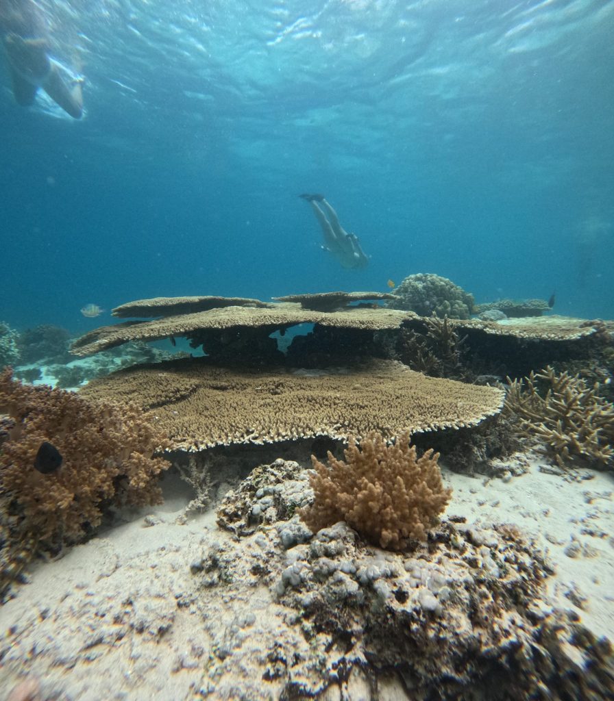 Contact Us Snorkeling Gili Trawangan