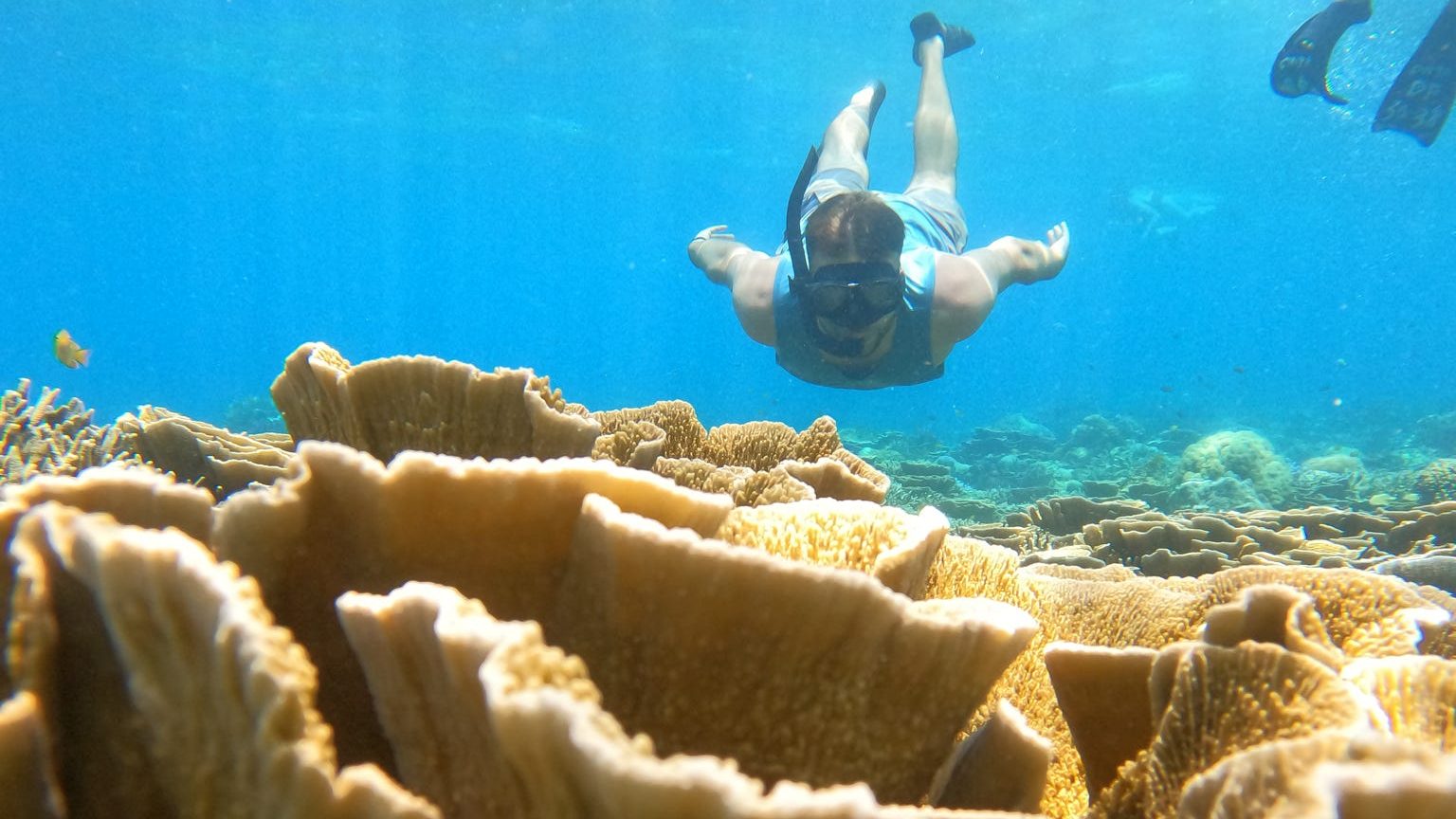 Private Snorkeling 3 Gilis Islands