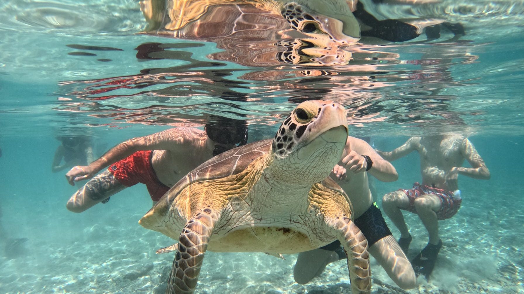 Private Snorkeling Trip 3 Gilis Island